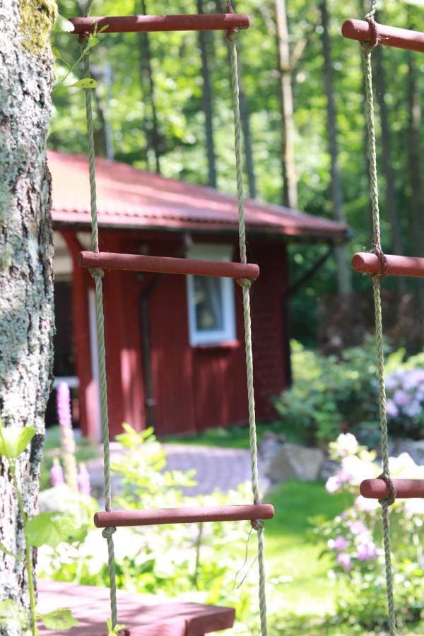 Namelis Nr 1 Adeles Sodyba Sturmai Exterior foto