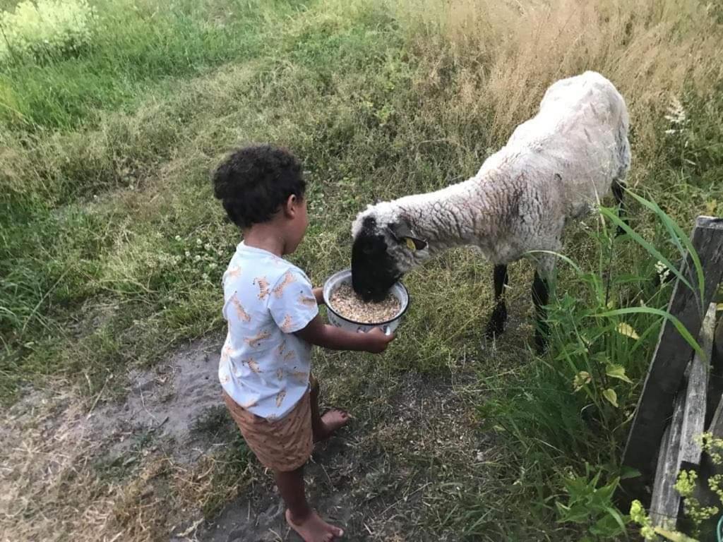 Namelis Nr 1 Adeles Sodyba Sturmai Exterior foto