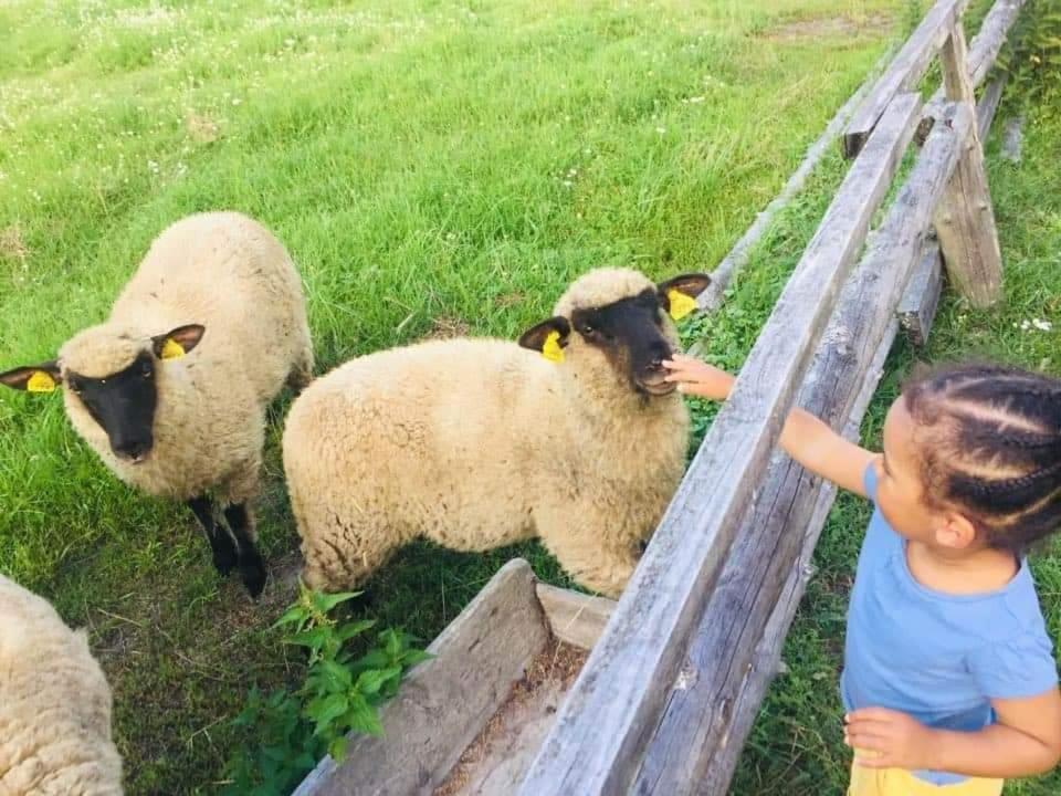 Namelis Nr 1 Adeles Sodyba Sturmai Exterior foto